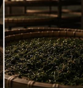 Bước 04 — Lên men: Oxy hóa tự nhiên, phát triển tầng hương đặc trưng.